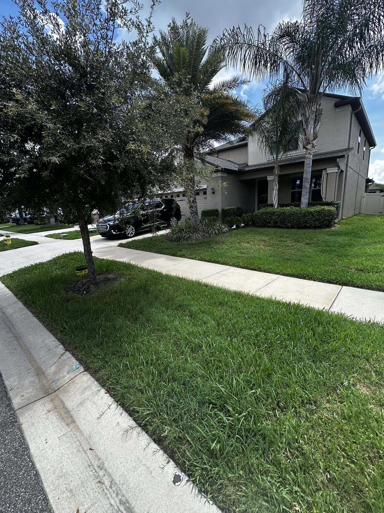 Weed Control job by ProTurf