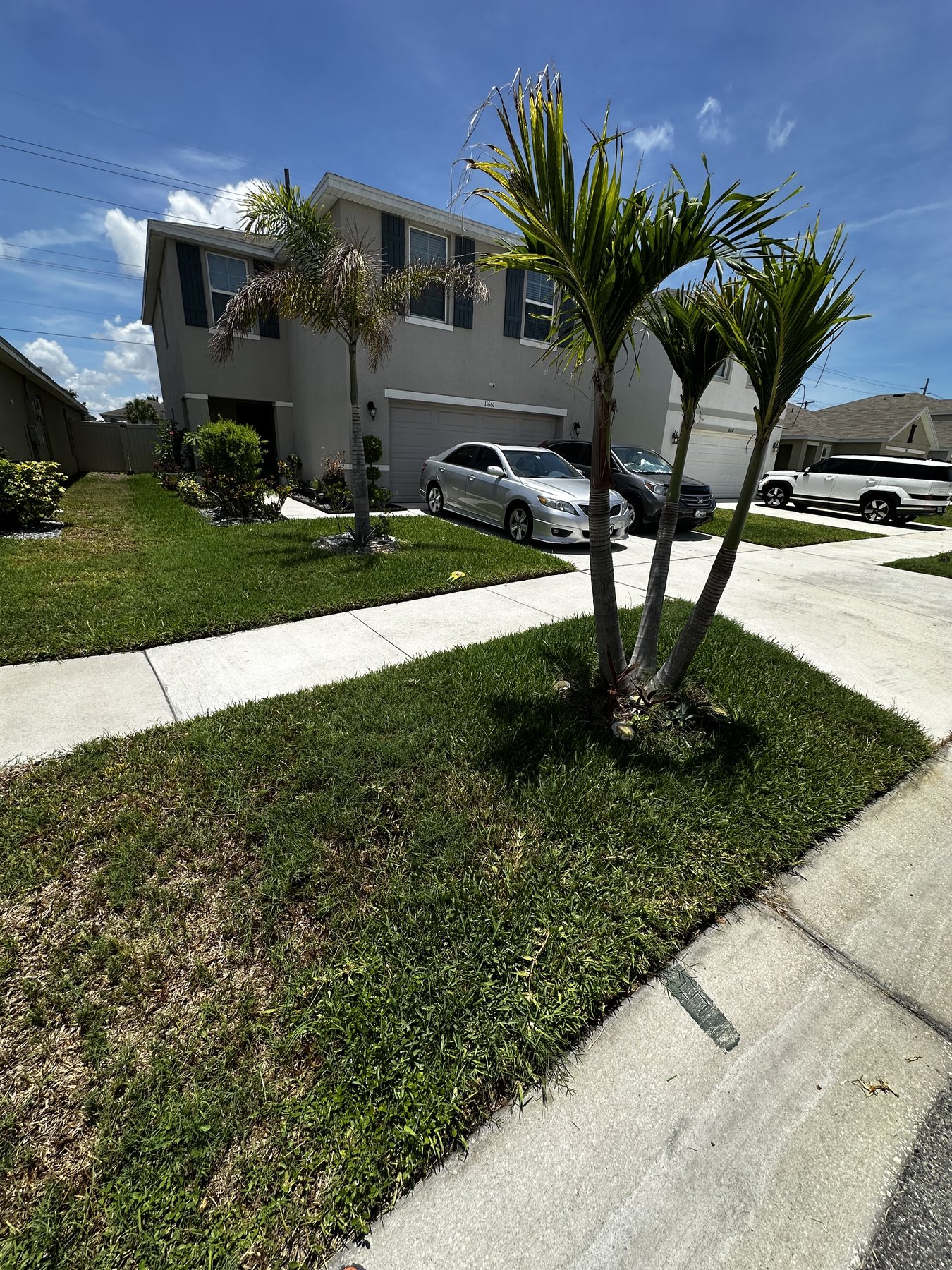 Lawn Fertilization job by ProTurf