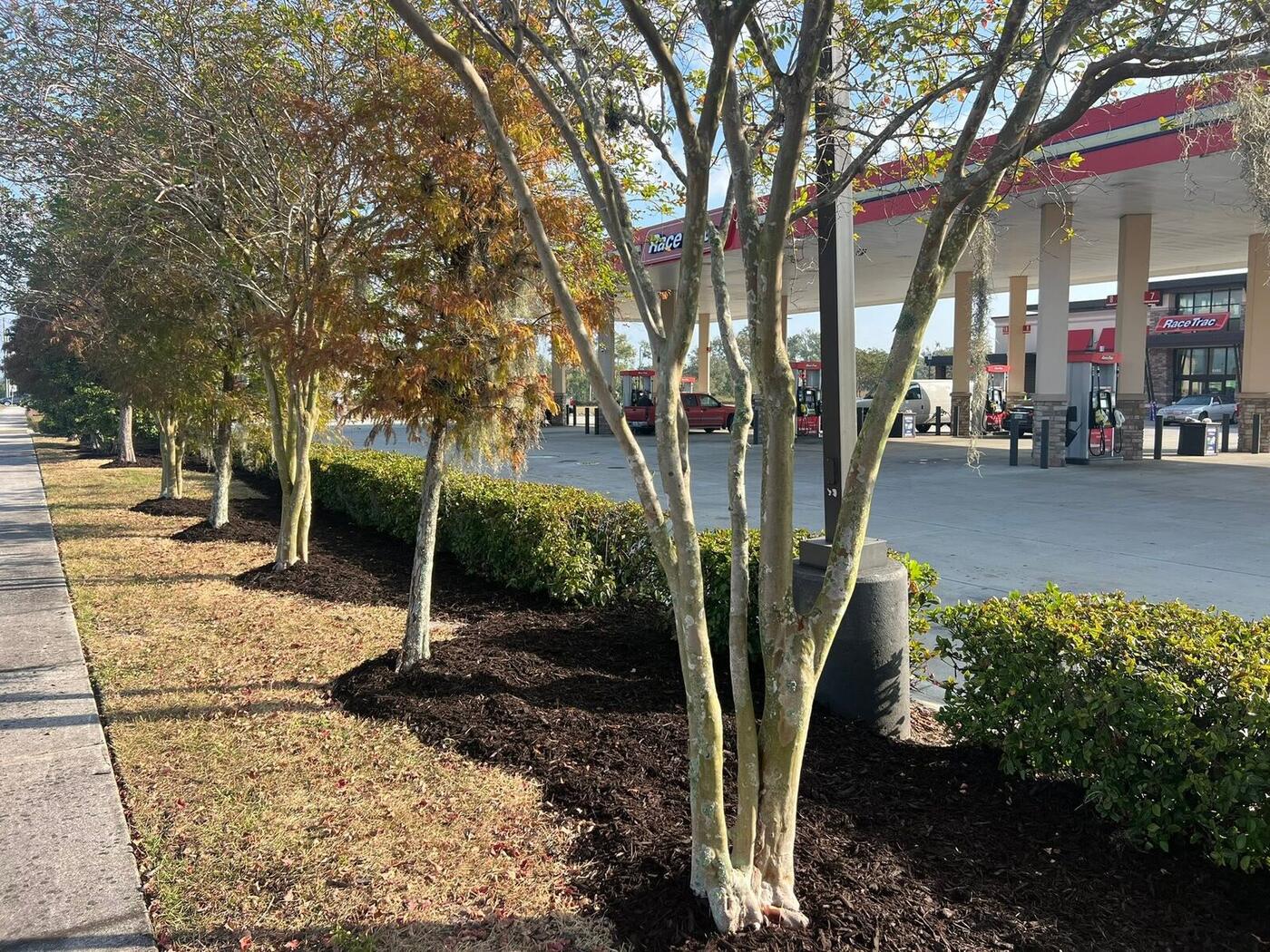 Commercial Services job by ProTurf