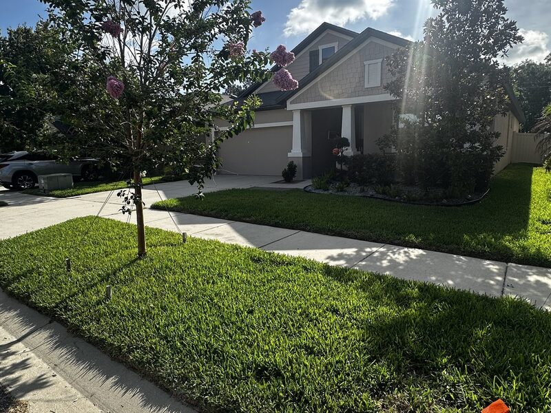 Fertilization & Lawn Care