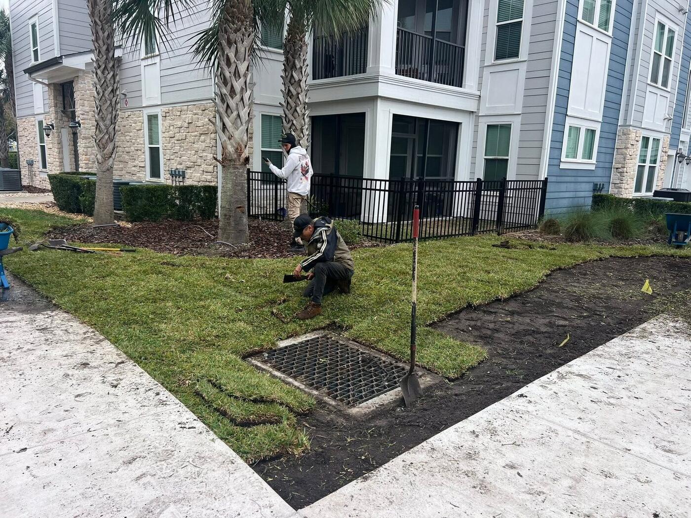 Sod Installation job by ProTurf
