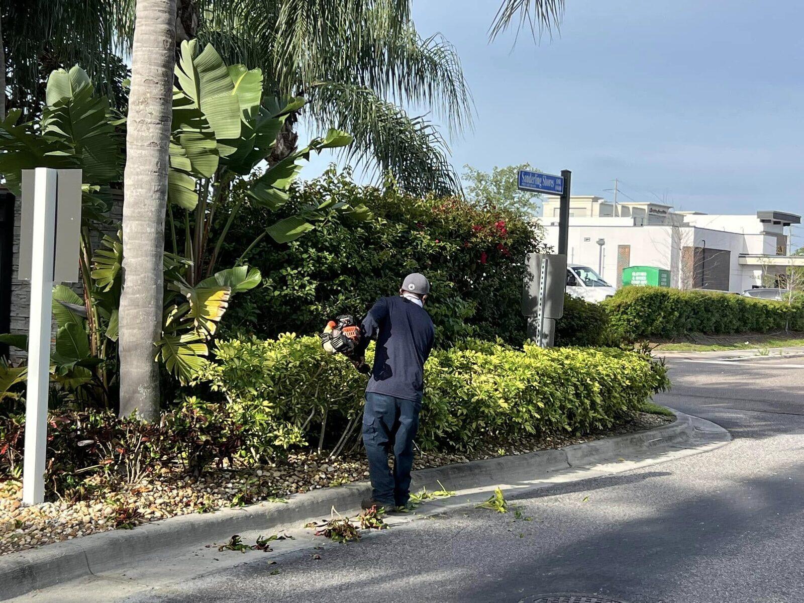 Tree Services job by ProTurf