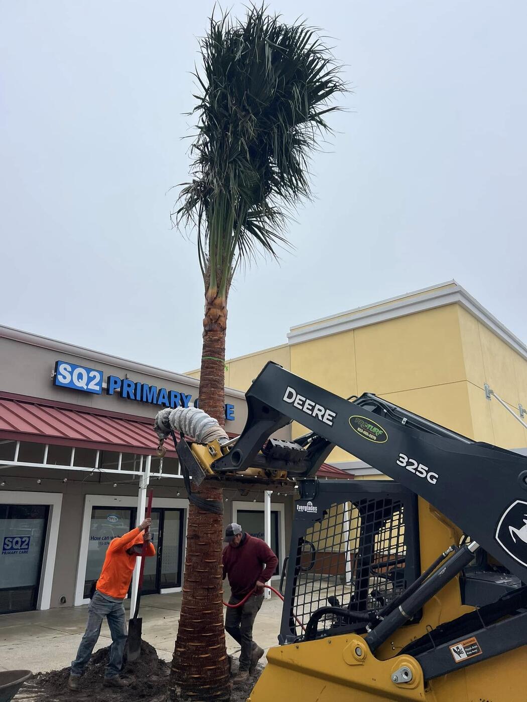 Tree Services job by ProTurf