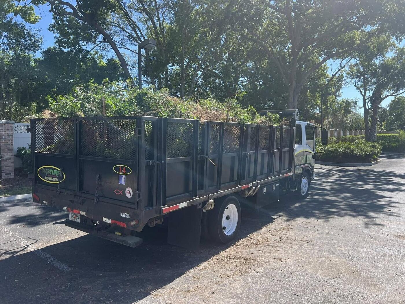 Tree Services job by ProTurf
