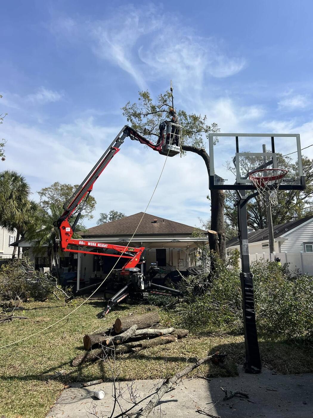 Tree Services job by ProTurf